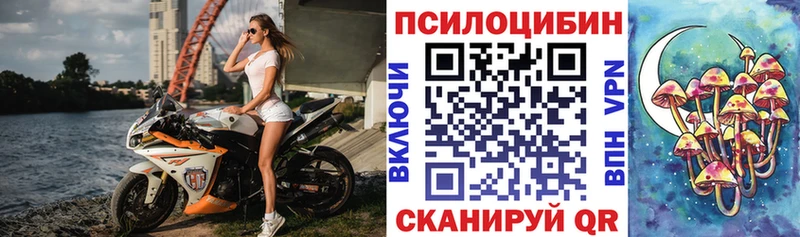 Галлюциногенные грибы мицелий  Чудово 